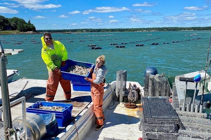 a group of people sitting at a dock