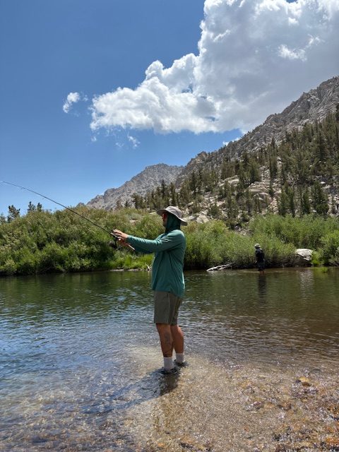 Person fly fishing in a creek surrounded by trees and mountains.